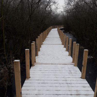 Die Brücken-Elemente aus Holz sind miteinander verbunden, die Holz-Pfosten für das Geländer sind fertig montiert. Auf der unfertigen Brücke liegt am 21.1.2019 Schnee.