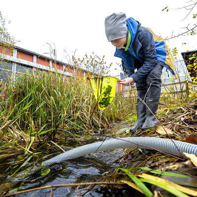 Teich wird abgepumpt