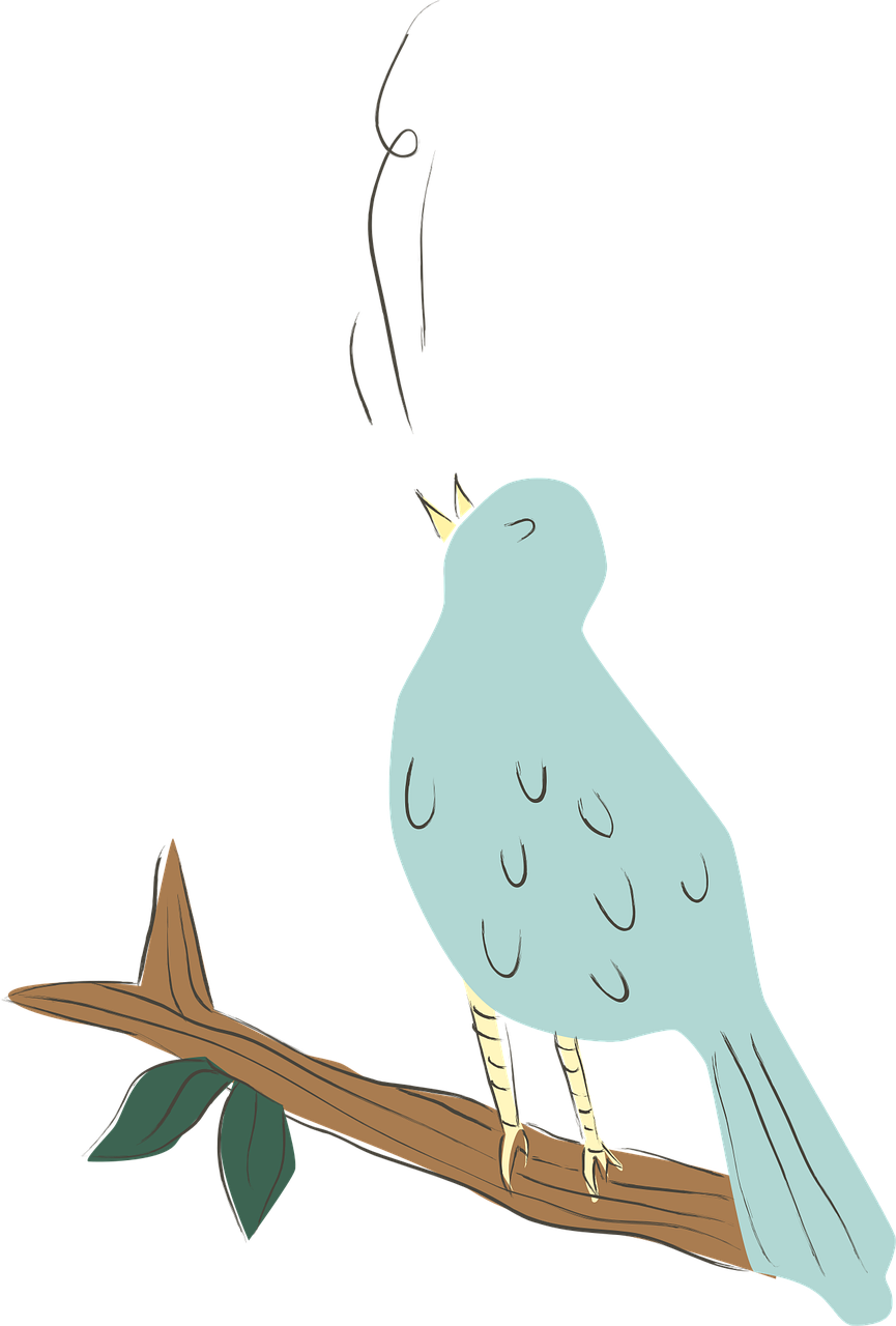 abbiepaulhus-bird-616803_1280_singen